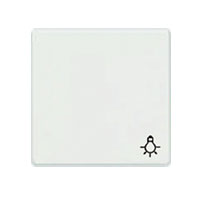 BJC 5TG62705WH21 TECLA DIFUSOR SIMBOLO LUZ I-SYS BLANCO POLAR
