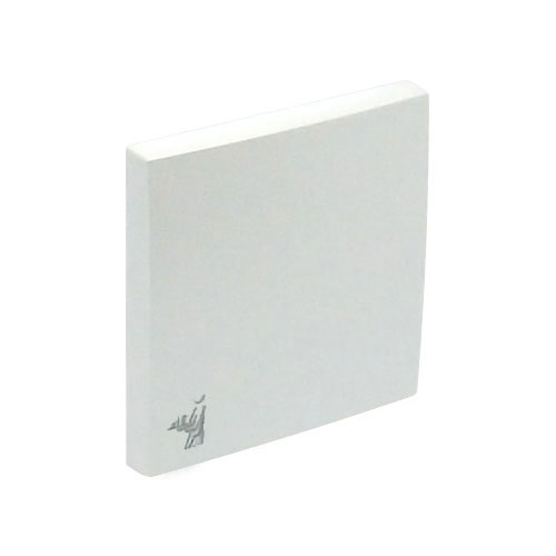 EFAPEL 90606 TGE TECLA SIMPLE CON SIMBOLO ASISTENTA LOGUS HIELO
